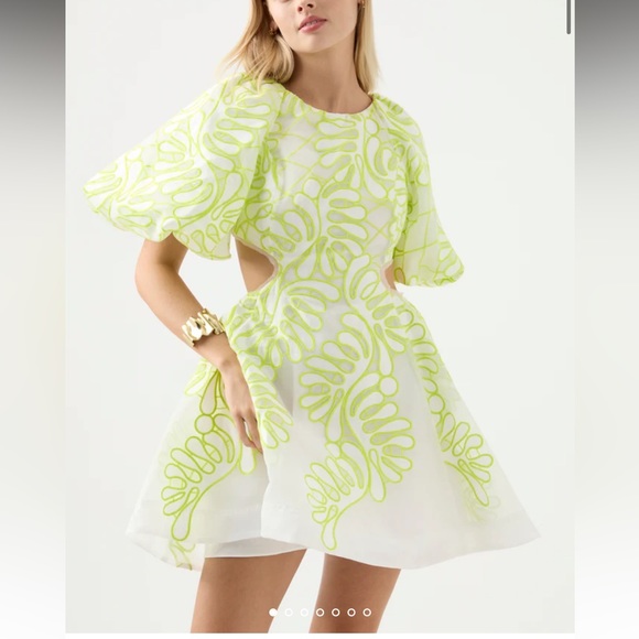 Aje Dresses & Skirts - Aje Botanical Applique Mini Dress